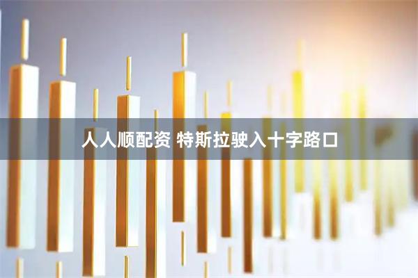 人人顺配资 特斯拉驶入十字路口