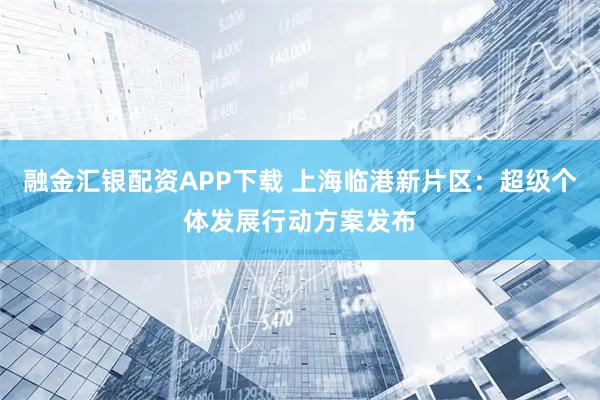 融金汇银配资APP下载 上海临港新片区：超级个体发展行动方案发布