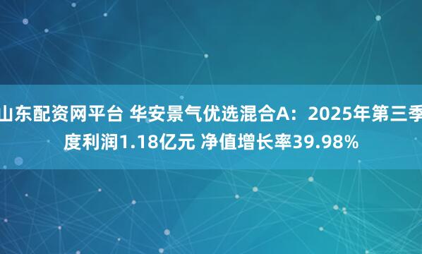 山东配资网平台 华安景气优选混合A：2025年第三季度利润1.18亿元 净值增长率39.98%