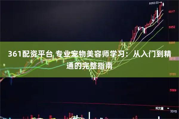 361配资平台 专业宠物美容师学习：从入门到精通的完整指南