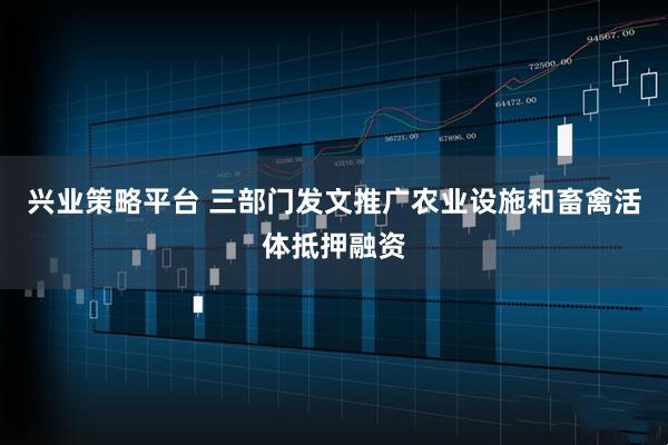 兴业策略平台 三部门发文推广农业设施和畜禽活体抵押融资
