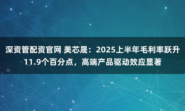 深资管配资官网 美芯晟：2025上半年毛利率跃升11.9个百分点，高端产品驱动效应显著
